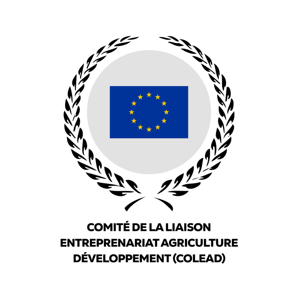 GDB Badge 2