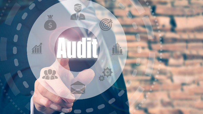 Audits